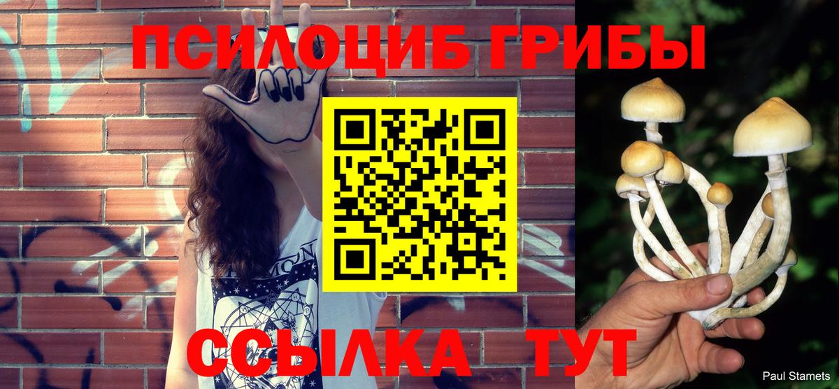 Псилоцибиновые грибы Psilocybe  Вход с VPN  Донецк 