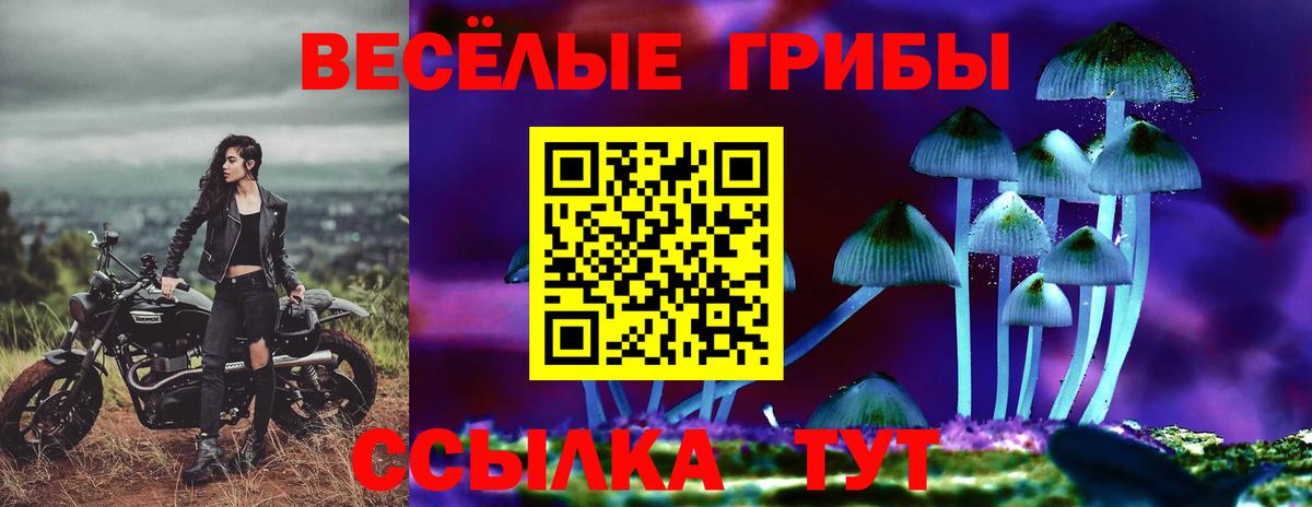 Галлюциногенные грибы Cubensis Донецк